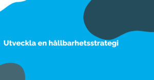 Utveckla en hållbarhetsstrategi