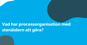 Vad har processorganisation med stenåldern att göra?